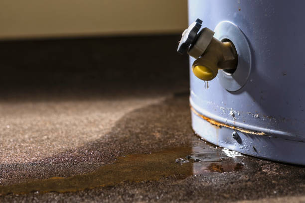  Ripon, CA Water damage restoration Pros