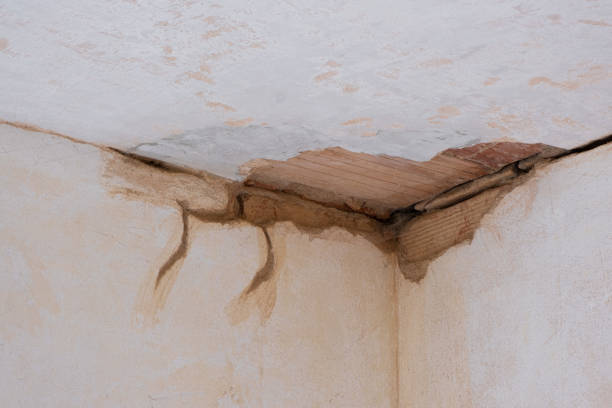 Best Fire Damage Restoration  in Ripon, CA