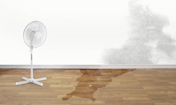 Best Water damage contractors near me  in Ripon, CA