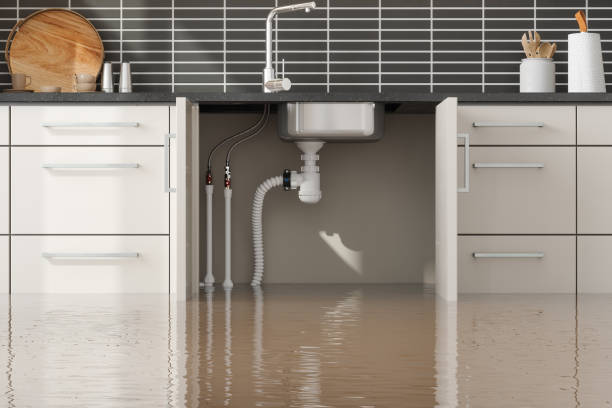 Best Water damage restoration insurance claims  in Ripon, CA